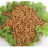 崇雾黄粉虫大麦虫活虫面包虫活体鲜活虫乌龟八哥仓鼠鸟食守宫龙鱼饲料 实拍图