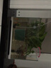 森森（SUNSUN） 鱼缸水族箱生态超白玻璃缸桌面水草缸客厅造景金鱼缸 【超白缸】351*211*250mm 实拍图