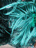 鱼汐格 拉网渔网鱼塘拉鱼网拉网刮鱼网围网拖鱼网2指隔断清塘网托网隔网 4米高 50米长2指【粗9股】加重坠 实拍图