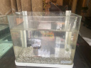 佳璐（jialu）超白浮法水草鱼缸免换水族箱懒人生态鱼缸小型水族箱超白玻璃 23cm长 水草超白缸 灯 过滤器（含底沙） 实拍图