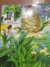 昆虫王国（写给孩子们的百科全书） 中小学课外大百科，少儿科普，高清全彩，手绘+实拍，全细节 实拍图