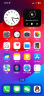 Apple/苹果 iPhone 13 (A2634) 256GB 星光色 支持移动联通电信5G 双卡双待手机 晒单实拍图
