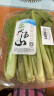 小汤山 北京 小白菜 250g 基地直供新鲜蔬菜 实拍图