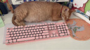 惠普（HP）朋克机械键盘 游戏键盘 104键背光键盘 有线键盘 笔记本办公家用电脑键盘 粉色白光 青轴 晒单实拍图