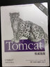 Tomcat权威指南（第2版） 实拍图