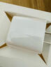 斯泰克适用于苹果15充电头iphone15氮化镓快充器PD20W USB-C15promax/14/13/12/ipad平板手机type-c插头 实拍图