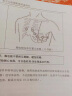 三锐科技心电图机医用ECG-3312单三六十二道十二导 自动分析诊断12导联家用检测仪便携式一体机 三道ECG-3303B 实拍图