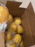 萌檬丑柠檬 萌檬有机柠檬 欧盟有机认证   GAP良好农业种植规范认证 2.5kg 实拍图