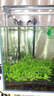 森森（SUNSUN）鱼缸过滤器外置水族箱过滤桶 HW302(无滤材 适合0.6-1米的鱼缸) 实拍图