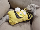 华元宠具（hoopet）猫咪衣服防掉毛蓝猫宠物布偶英短美短秋冬薄款冬季保暖可爱四脚衣 【薄绒款】俏皮猫咪背带裤黄色 L-（建议10-14斤） 实拍图