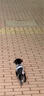 磊嘉小狗狗绳遛狗绳牵引绳小型犬拉布拉多金毛柯基法斗幼犬胸背带 黑红XL胸背带1个#建议35-48斤 实拍图