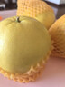 黄金葡萄柚2024年新鲜柚子当季水果福建黄肉蜜柚甜西柚整箱 带箱9斤中果【9-12个】 实拍图