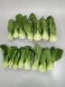 京鲜生供港上海青苗250g 鲜嫩清甜炒菜新鲜采摘 广东源头直发 实拍图