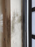 泰克斯乐（Texlabs）墙体除霉剂500ml 彩色墙面去霉斑 卫生间厨房墙纸去霉菌洗衣机密封圈除霉去霉味 实拍图