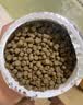 BESSN贝森小颗粒底栖鱼鱼肉饲料虎头鲨猫鱼下沉型鱼粮500ml  5mm 实拍图
