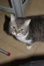 佳能（Canon）EOS 600D 700D 850D 800D 760D 750D 550D 500D学生入门级二手数码单反相机人像小痰盂镜头日常家用高清旅游 500D+18-55防抖【套机】 95 实拍图