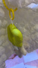暄琰云朵泡芙花朵单肩包女褶皱泡泡单肩托特包帆布简约手提包 泡芙单肩包【米白色+挂件】 实拍图