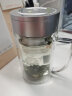 富光双层隔热玻璃杯茶隔款水杯带把泡茶多用办公玻璃杯子（2只装） 实拍图