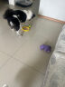 宜特（EETOYS）绿色网球狗狗玩具发声互动可水洗洁齿球宠物用品 实拍图