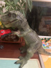 RECUR  恐龙玩具软胶超大号霸王龙侏罗纪儿童仿真动物模型玩具摆件 霸王龙深绿（超大号）RC16039D-DG生日礼物 实拍图