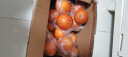 正宗四川塔罗科血橙红心果冻橙子带箱新鲜孕妇水果红肉橙 5斤（净重4.5） 60mm-70mm中果 晒单实拍图