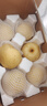 京地达梨砀山梨酥梨净重4.5斤单果250g+梨子当季新鲜水果源头直发包邮 实拍图