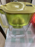 倍世（BWT）净水壶滤水壶净水器家用 欧洲去水垢滤芯 益家4.2L大容量 过滤水壶 厨房客厅通用 【去水垢-加强版】1壶1芯 实拍图