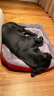 派乐特 宠物狗窝猫窝拉布拉多金毛狗狗垫子床中大型犬秋冬季窝用品XL号 实拍图
