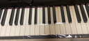 卡西欧（CASIO）电钢琴便携PX-S1100/PXS3100重锤88键智能触屏火星红成人专业考级 PX-S3100稳固U架款 实拍图
