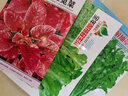 意大利生菜种子大全水培四季生菜种籽孑农家春夏秋冬季菜籽种南方 意大利生菜种子两包 实拍图