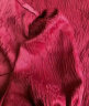 塞德勒旗袍敬酒服新娘订婚连衣裙红色小礼服裙女回门2024新款平时可穿夏 酒红色 L（建议106-115斤） 晒单实拍图
