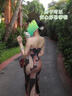 菇娘家无肩带内衣承托杯防滑无痕女抹胸隐形聚拢美背文胸大码胸罩裹胸 实拍图