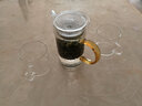 斌能达（BIN NENG DA） 加厚全玻璃绿茶泡茶壶过滤冲茶器红茶泡简约办公室功夫茶具小号 小号茶色把单壶+2杯 250ml 实拍图
