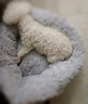 KimPets冬季保暖猫窝网红泰迪冬天狗窝封闭式四季通用猫咪宠物猫床垫用品 保暖深睡长毛绒窝-高级灰 L-适合猫18斤内/狗12斤内狗使用（直径60cm） 实拍图