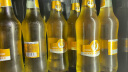 珠江啤酒（PEARL RIVER）10度 珠江精品纯生啤酒 528ml*12瓶 整箱装 晒单实拍图