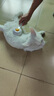 PEISIMA猫梳子去浮毛宠物排针梳猫咪狗狗专用梳毛刷猫毛狗毛清理器除毛器 象牙白【祛浮毛+按摩+开结】 实拍图