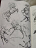 动物素描（畅销版）道格·林德斯特兰+动物画技法 赫尔脱格伦【两册册】动物绘画临摹技法要诀教程 动漫素描图例大全 晒单实拍图