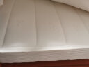 富安娜床垫 弹簧床垫 护脊椰棕床垫乳胶  席梦思床垫 偏硬款22cm-整网弹簧(推荐） 1.5*1.9米 实拍图