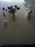 凉笙母亲节玫瑰10支仿真玫瑰花假花客厅家居装饰品婚庆单支干花样板房 5支蓝色+5支紫色 实拍图