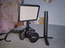 神牛（Godox） P120C-P260C LED补光灯平板摄影灯直播网红主播灯可调色温摄像灯柔光灯美食婚庆打光摄像补光灯 【4】P120C补光灯+6000电池+充电器 实拍图