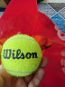 Wilson威尔胜无压力训练网球 袋装网球 练习网球 60个 WRT136000  晒单实拍图