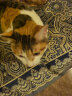 奥丁（ODIN）猫粮 1-12月龄幼猫奶糕专用 美短英短蓝猫 鱼肉味离乳期猫粮2kg 实拍图