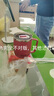 吉度（jidu）马克杯办公室水杯304不锈钢喝水男女咖啡杯带盖勺泡茶口杯子家用 海棠红色+304不锈钢勺 400ml 实拍图