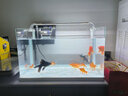 佳璐（jialu）超白水草鱼缸免换水族箱懒人生态鱼缸小型水族箱 50cm长 水草超白缸 灯 过滤器（含底沙） 实拍图