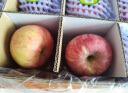 洛川苹果陕西延安红富士时令苹果水果礼盒苹果生鲜新鲜糖心脆甜整箱好吃 12枚75mm 单果180g+ 优选装 实拍图