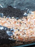 疯狂水草（FKSC）火山石底砂颗粒鱼缸底砂火山石滤材适合小米鱼缸造景装饰石头底沙 实拍图
