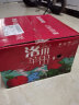 农鲜淘 洛川红富士苹果 8斤 单果200g+ 新鲜水果生鲜脆甜陕西礼盒 实拍图
