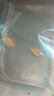 森悠（SARYOR）斑马鱼小型观赏鱼水草缸群游热带鱼活体鱼 混色天使鱼2-4cm 10条 晒单实拍图