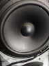 燕飞利仕（Infinity）汽车音响改装PR电音摇滚两分频同轴喇叭高音头低音炮车载音响套装 悦耀型-6/8喇叭+INFDSP+四路功放 实拍图
