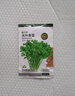 京农研农科院蔬菜种子大叶香菜四季小葱鸡毛菜红苋菜芝麻菜空心菜种籽孑 韩绿大叶香菜 10克 实拍图